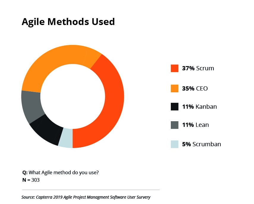 Agile Methods Used in Development Teams