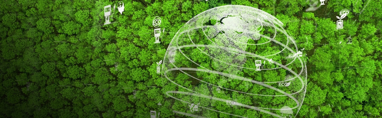 How to build green software development? How to build green software development launch cover