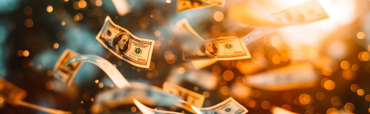 How to reduce software development costs