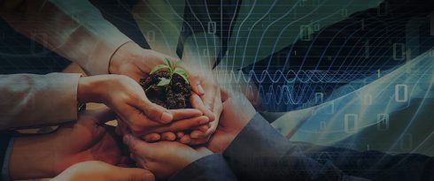 Outsourcing green projects