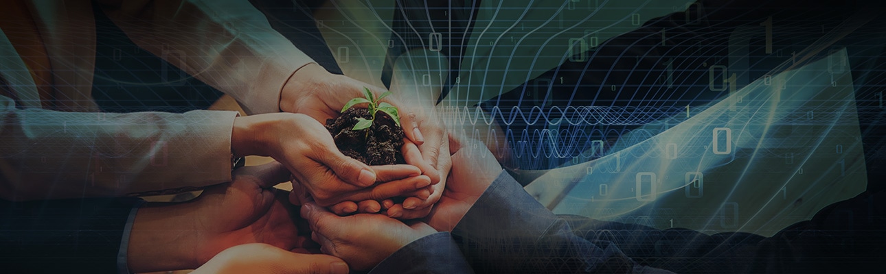 Outsourcing green projects