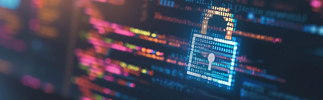 Software Development Security
