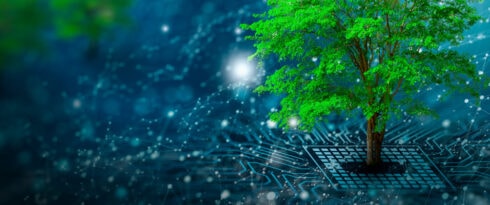 What is green coding a contribution to saving the environment to publish 22.11