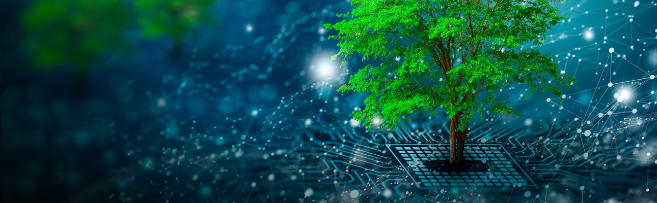 What is green coding launch cover