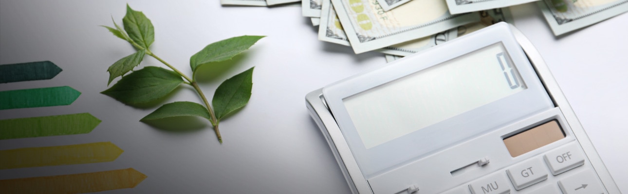 What is green computing and how can it save energy costs