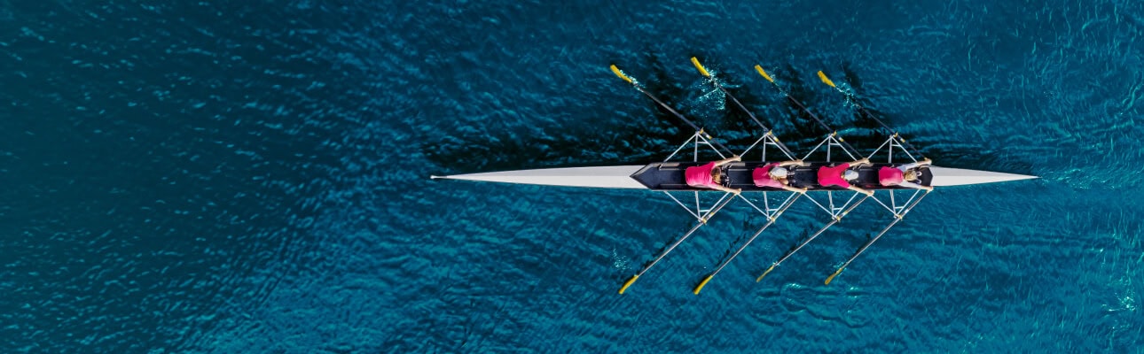 What is the role of a team leader in software development