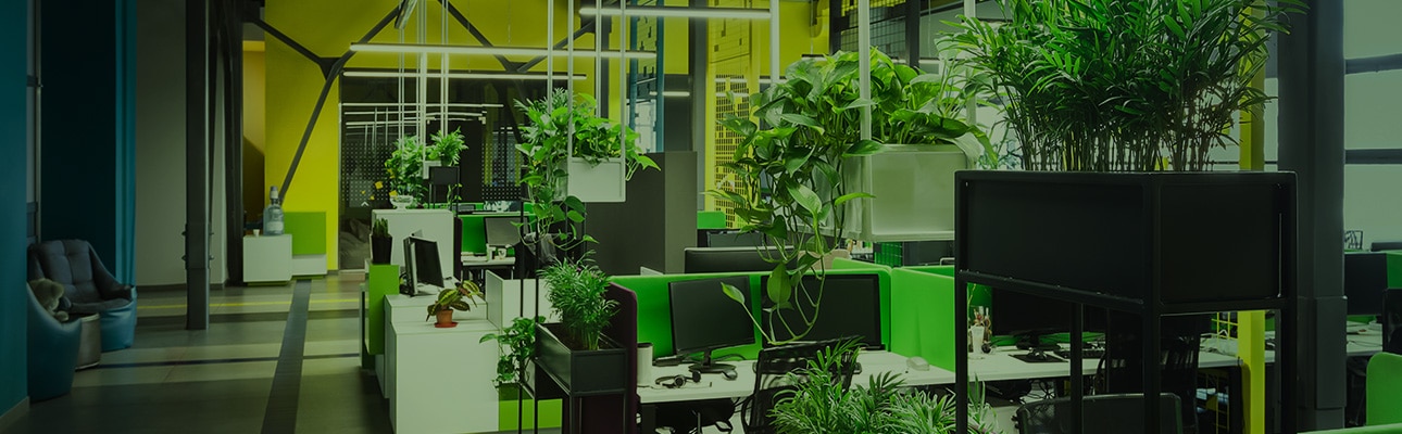 What is Green and Sustainable Software Development