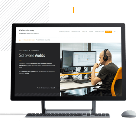 Software Audits